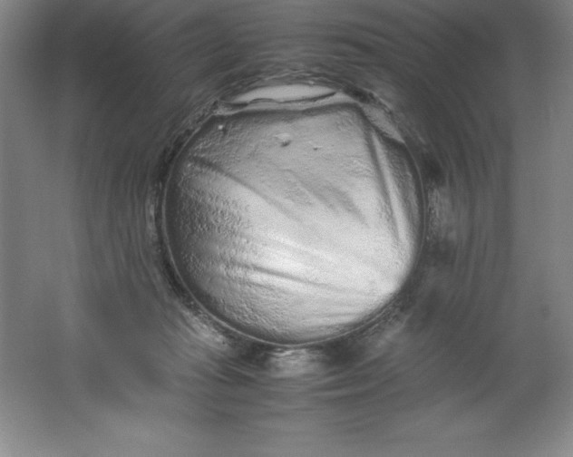 X0000062170269200512231634