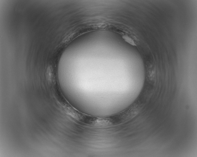 X0000062170270200512231634