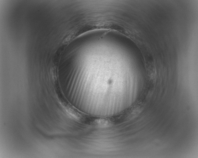 X0000062170272200512231634