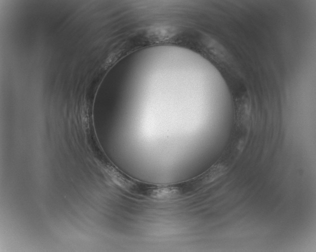 X0000062170274200512231634