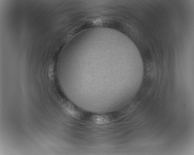 X0000062170275200512231634