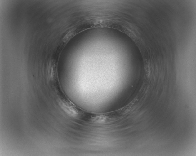 X0000062170276200512231634