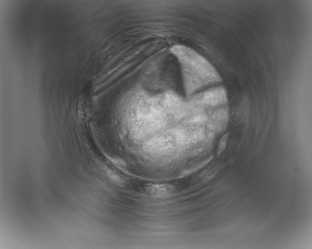 X0000062170277200512231634