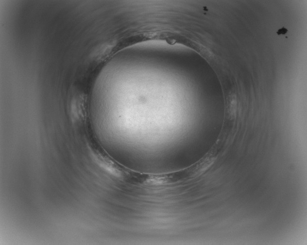 X0000062170280200512231634