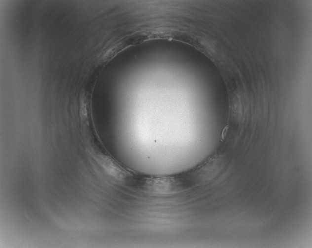 X0000062170282200512231634