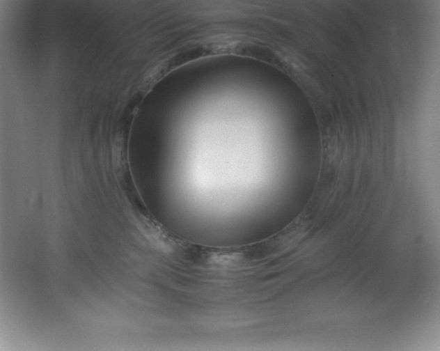 X0000062170283200512231634