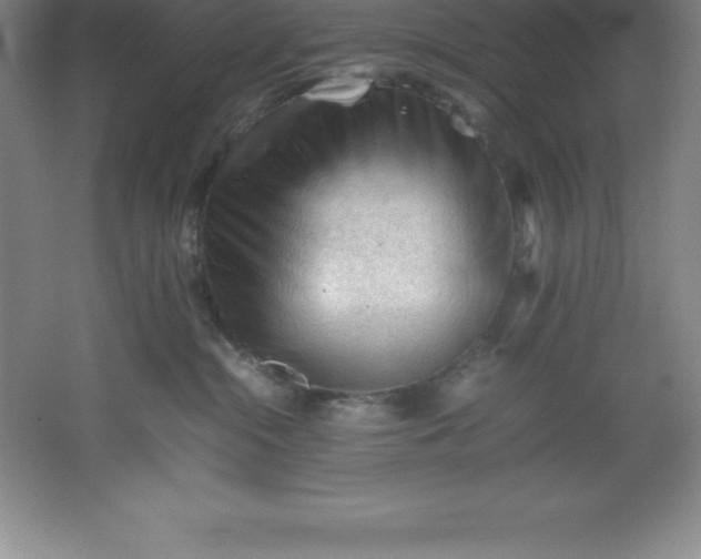 X0000062170284200512231634