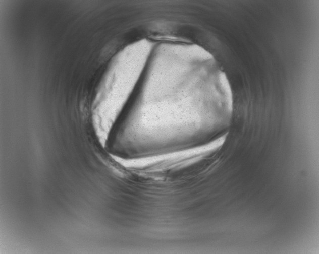 X0000062170285200512231634