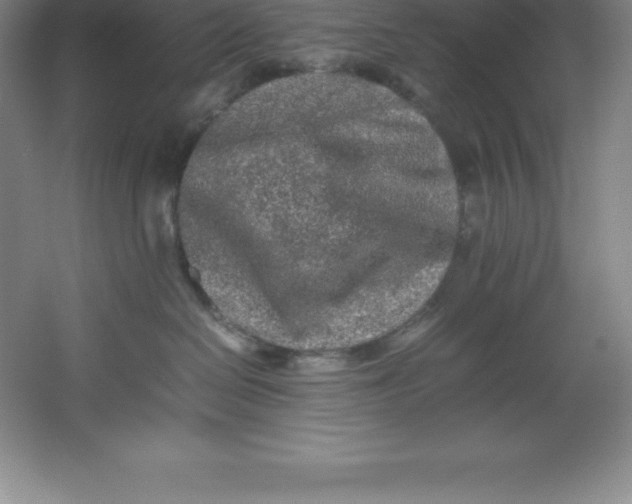 X0000062170286200512231634