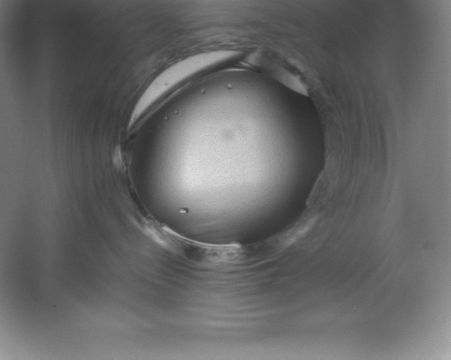 X0000062170288200512231634