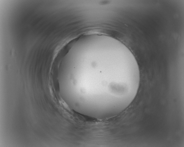 X0000062170289200512231634