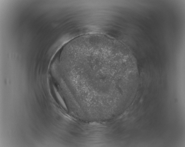 X0000062170290200512231633