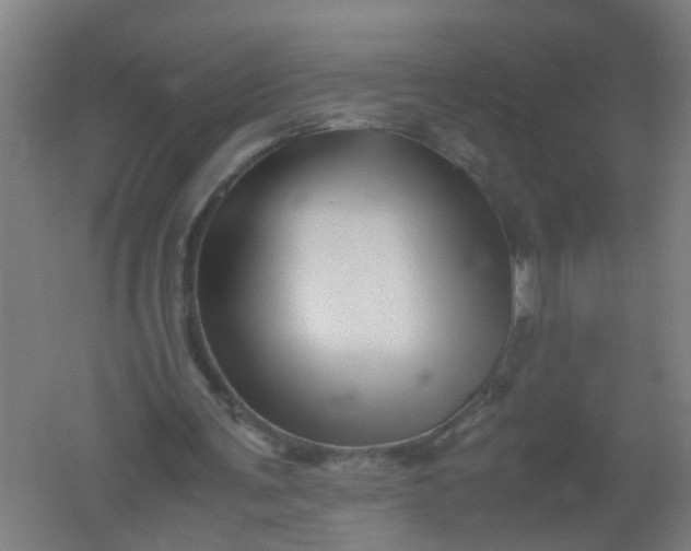 X0000062170291200512231633