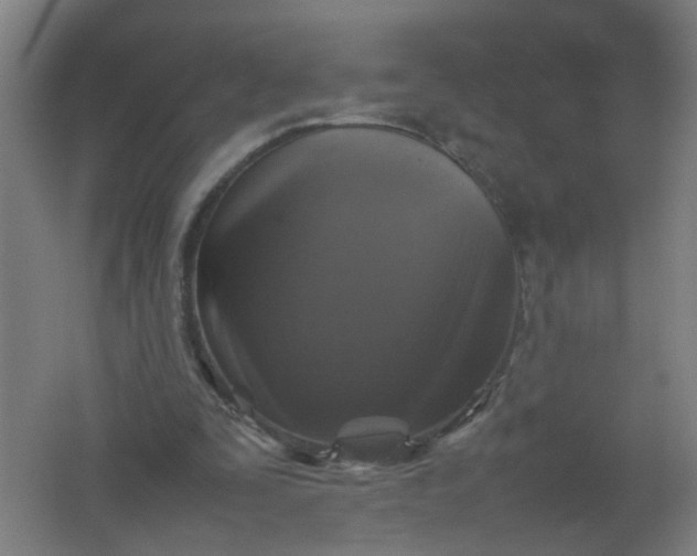 X0000062170295200512231633