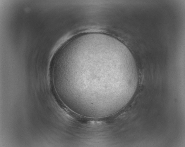 X0000062170296200512231633