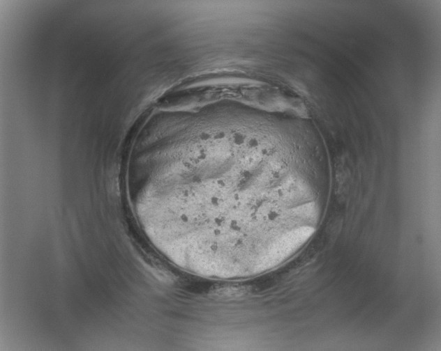 X0000062170299200512231633