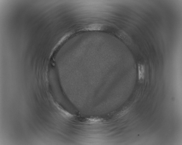 X0000062170300200512231633