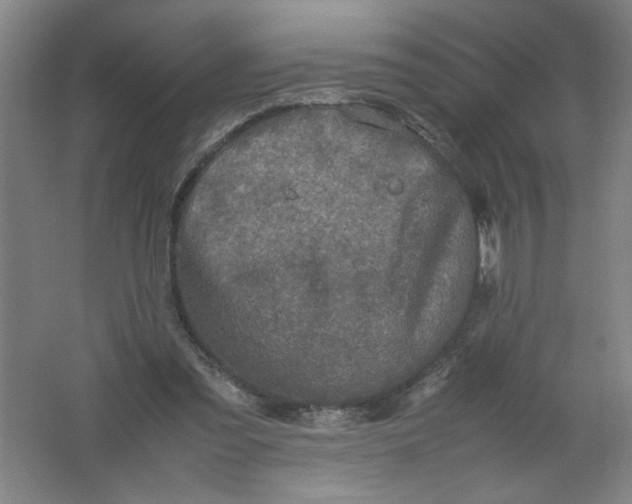 X0000062170301200512231633