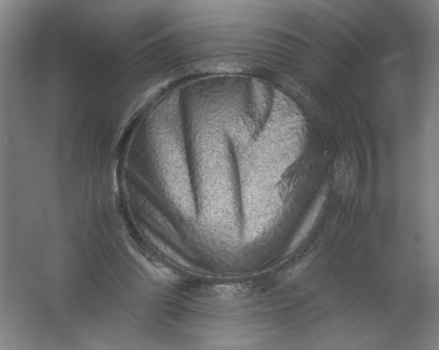 X0000062170302200512231633