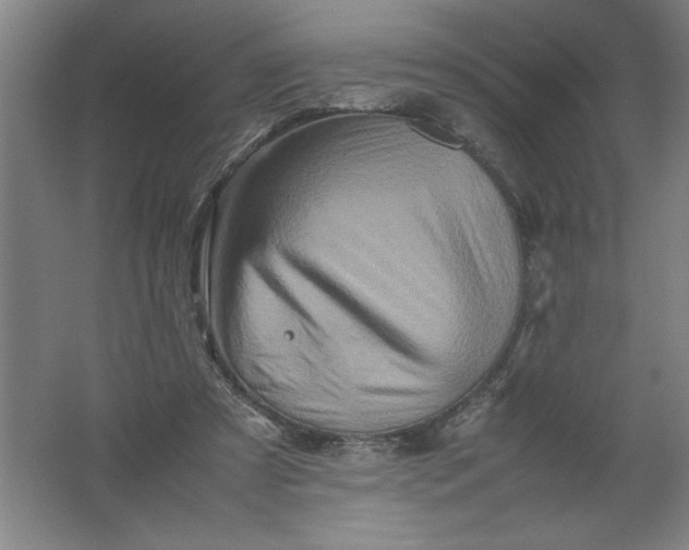 X0000062170305200512231633