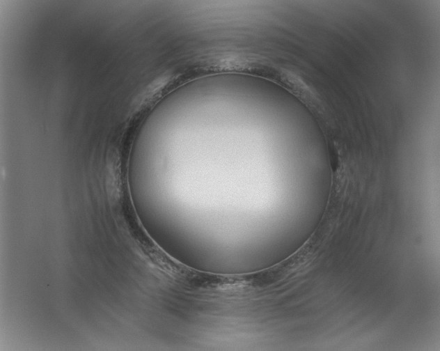 X0000062170306200512231633