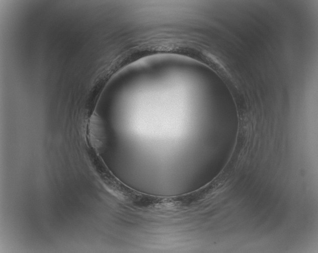 X0000062170307200512231633