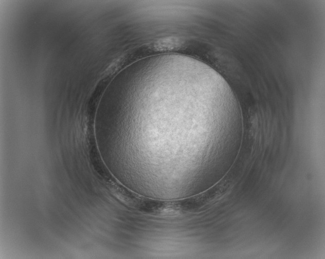 X0000062170308200512231633