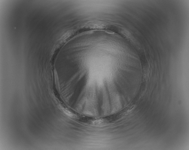 X0000062170309200512231633