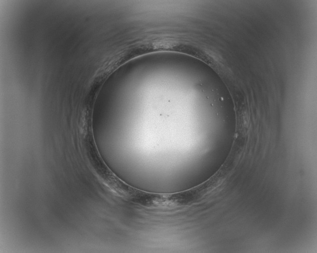 X0000062170311200512231633