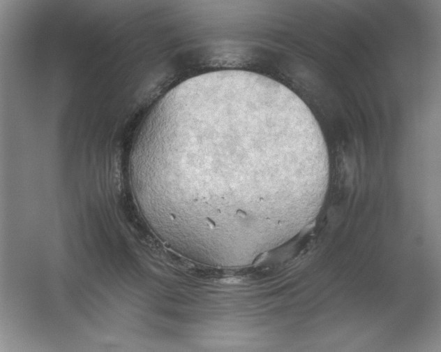 X0000062170312200512231633