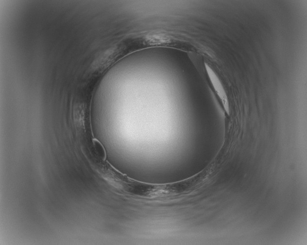 X0000062170315200512231633