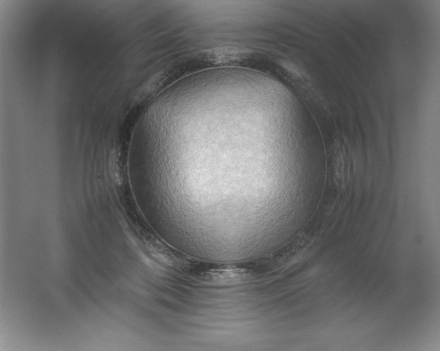 X0000062170316200512231633