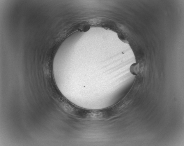 X0000062170317200512231633