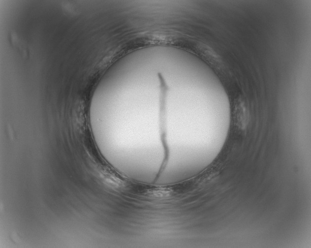 X0000062170318200512231633