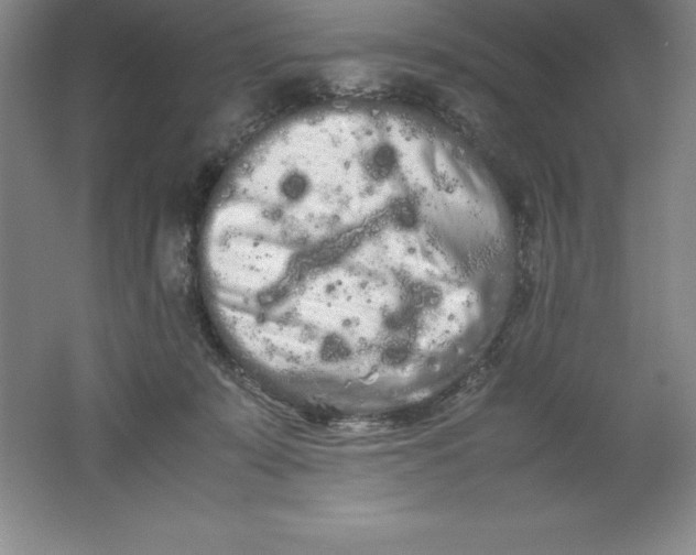 X0000062170319200512231633