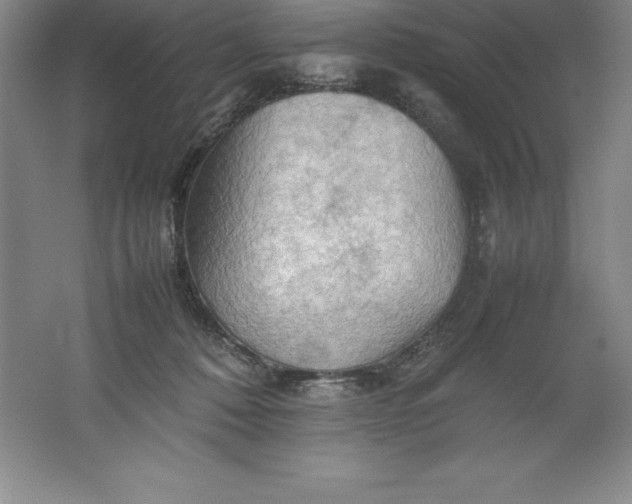 X0000062170320200512231633