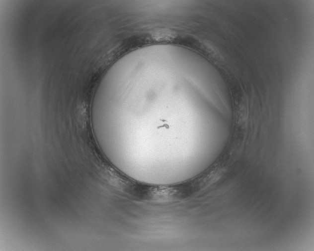 X0000062170321200512231633