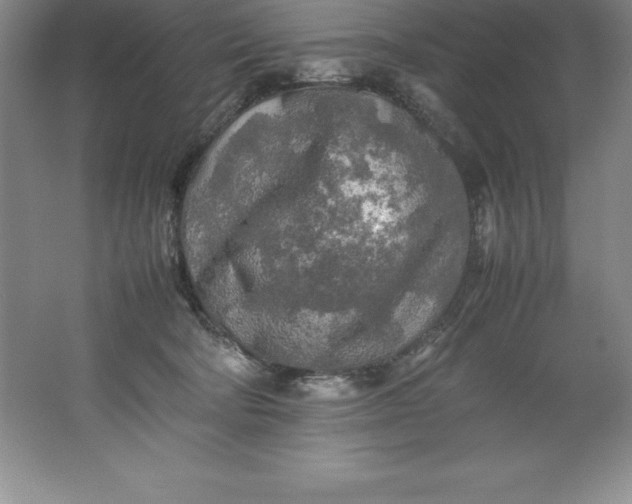 X0000062170322200512231633