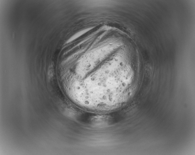 X0000062170323200512231633