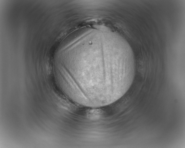 X0000062170324200512231633