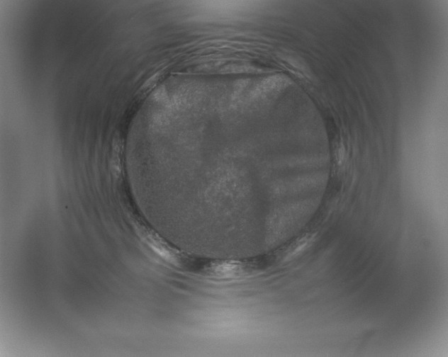 X0000062170325200512231633