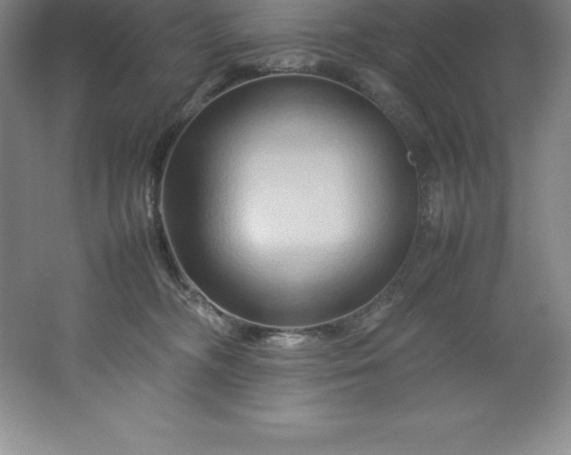 X0000062170326200512231633