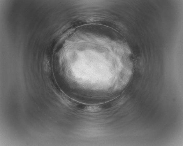 X0000062170327200512231633