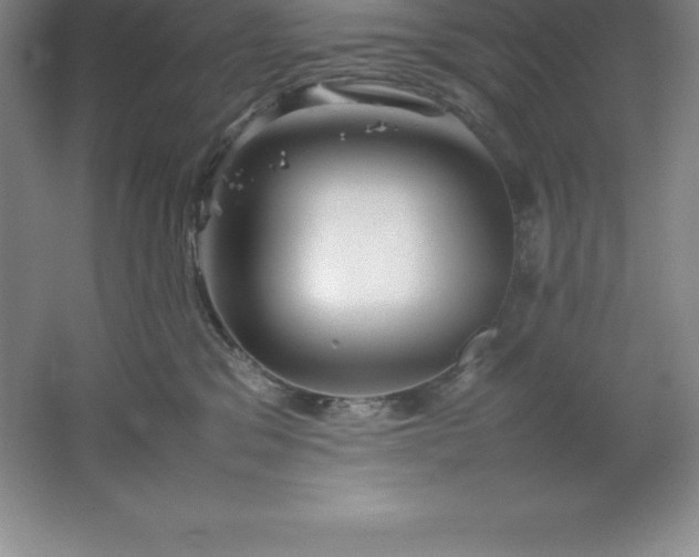 X0000062170329200512231633