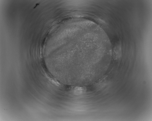 X0000062170330200512231633