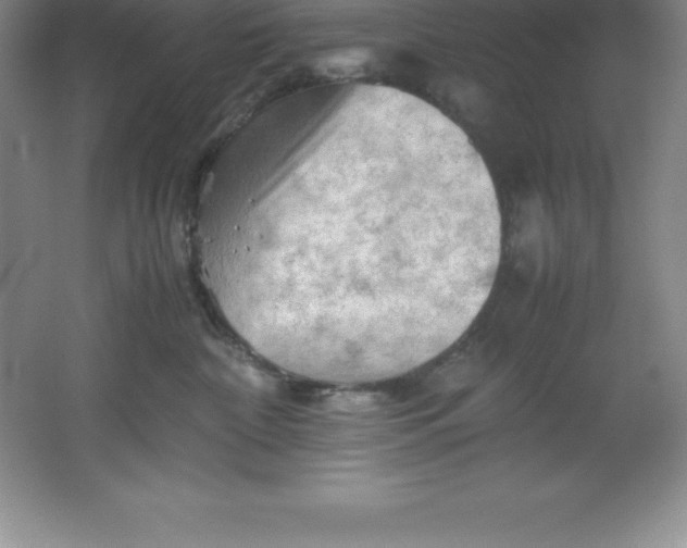 X0000062170332200512231633