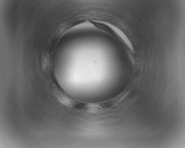 X0000062170333200512231633