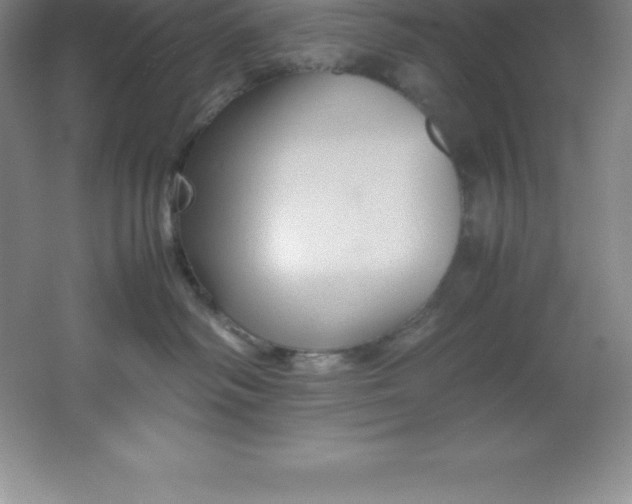 X0000062170334200512231633