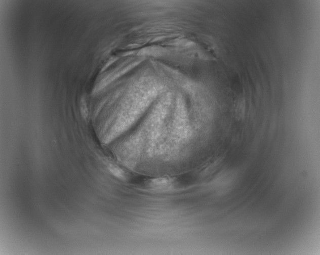 X0000062170335200512231633