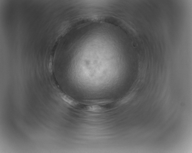 X0000062170336200512231633